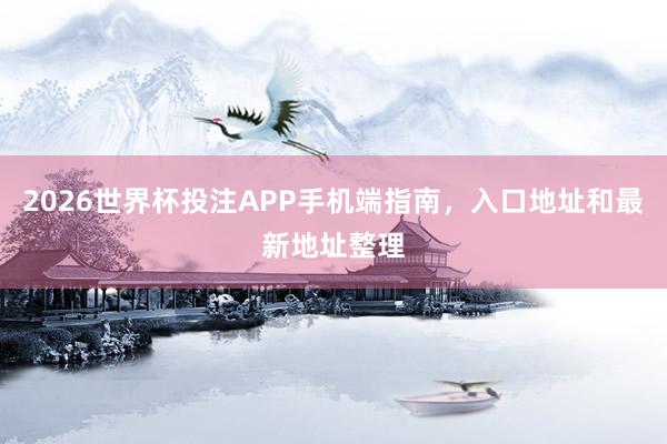 2026世界杯投注APP手机端指南，入口地址和最新地址整理